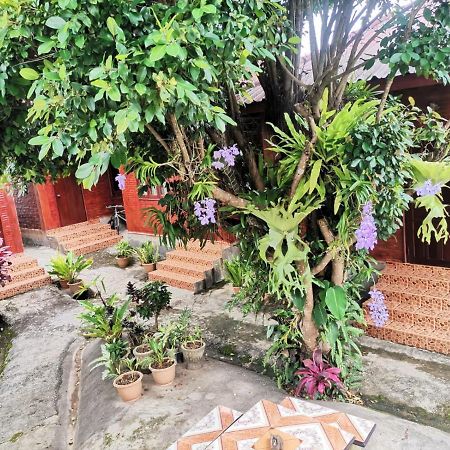 Kongkeo Guesthouse Muang Phônsavan Eksteriør bilde